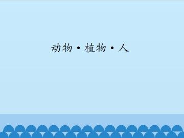 动物•植物•人_课件1