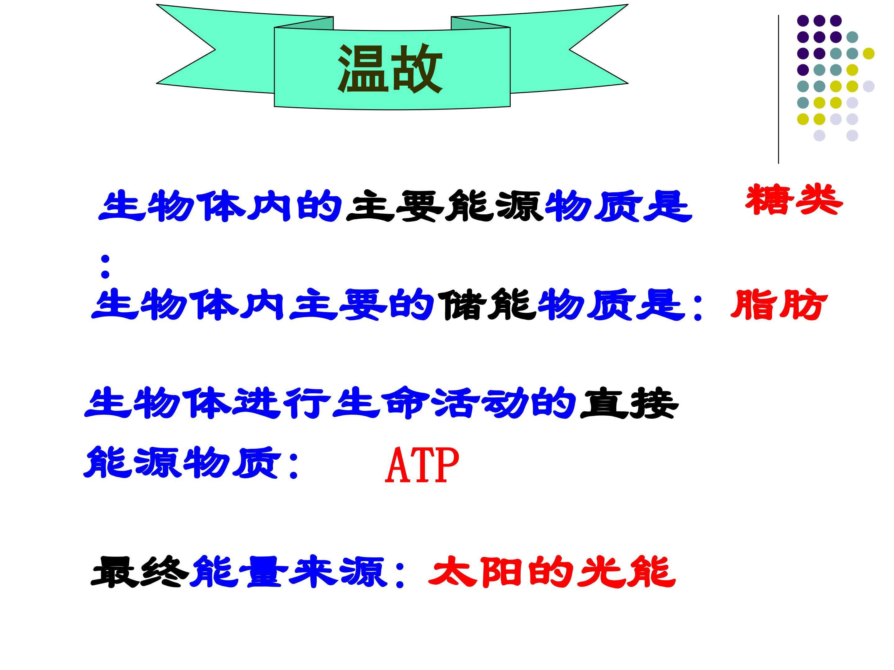 光合作用
