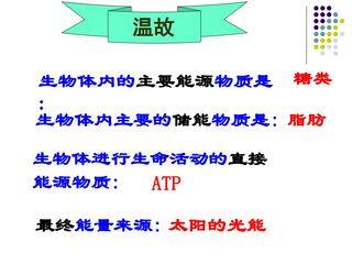 光合作用
