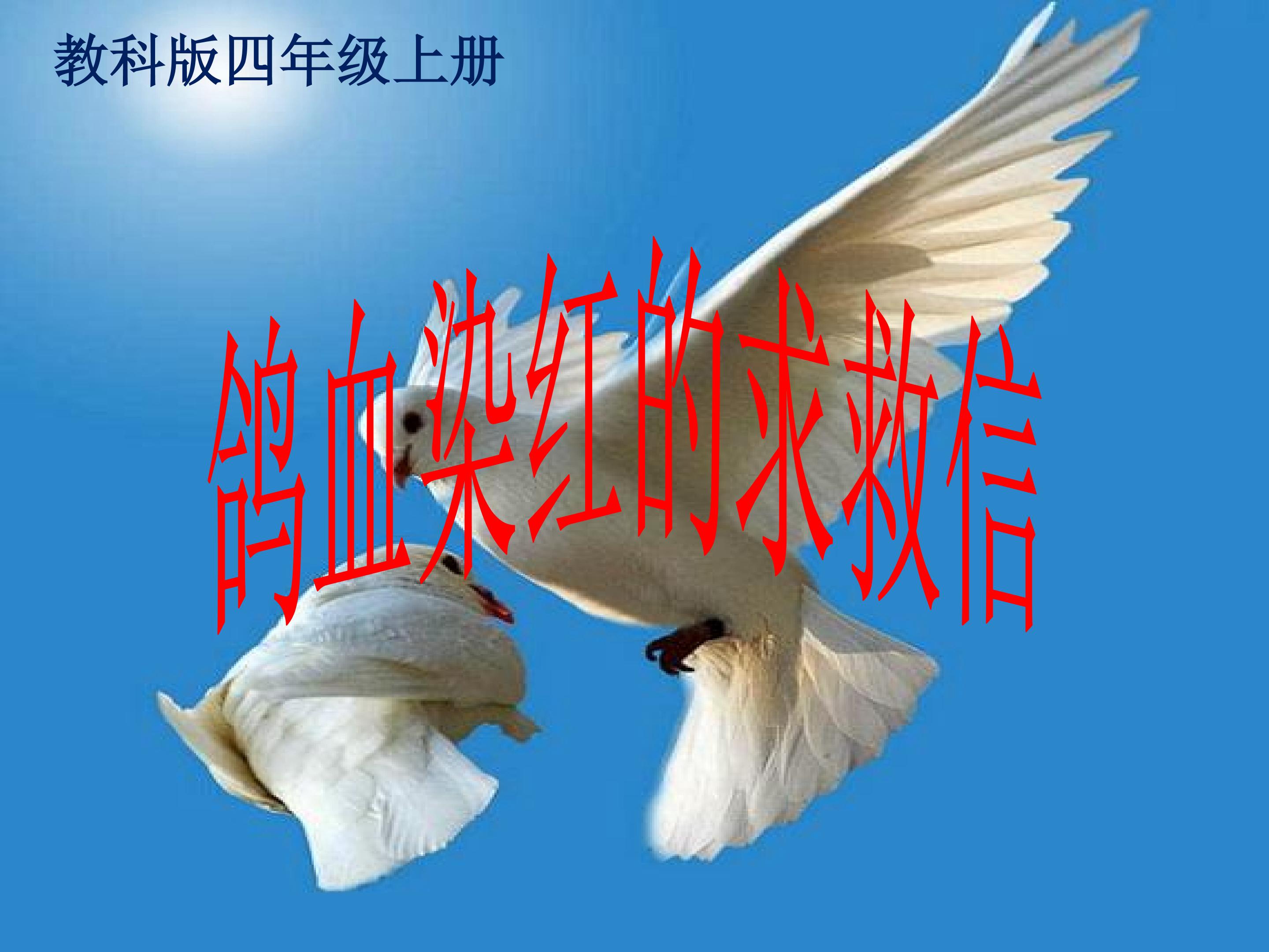 《鸽血染红的求救信》