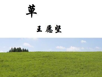 草_课件3