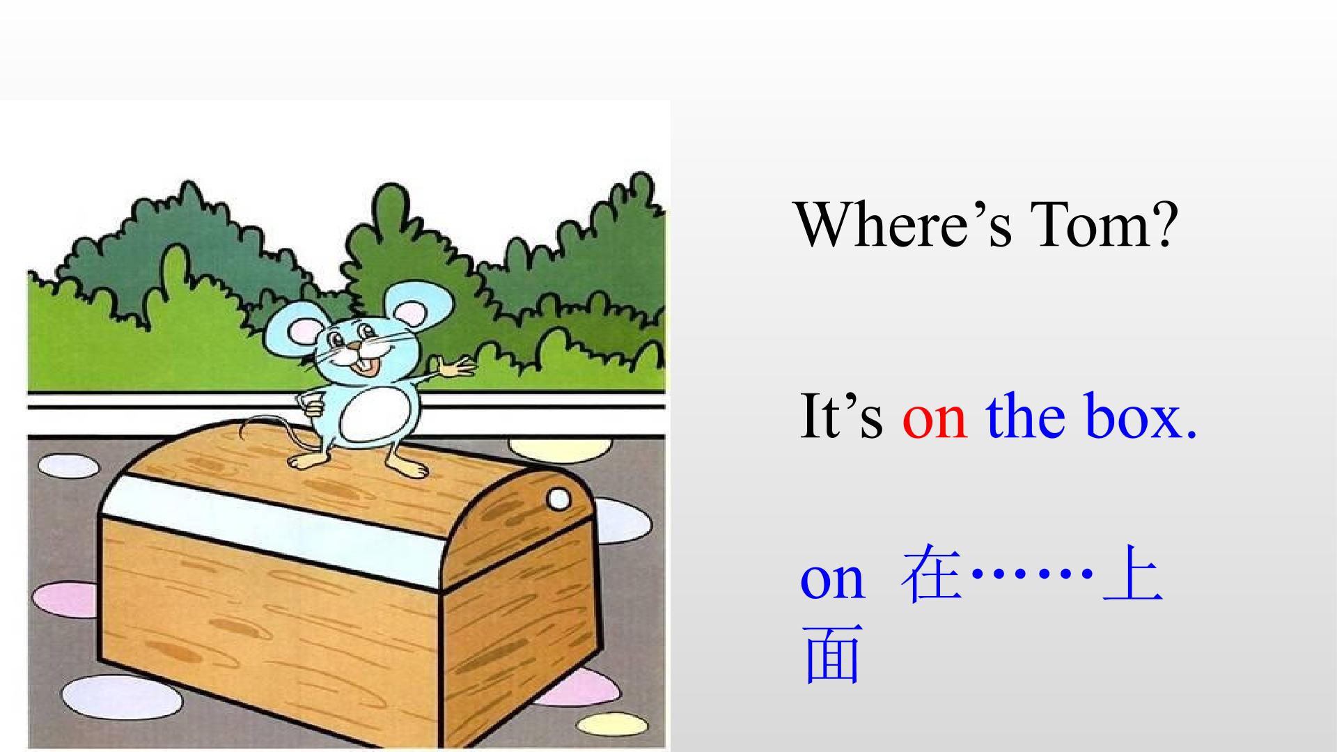 5.jpg