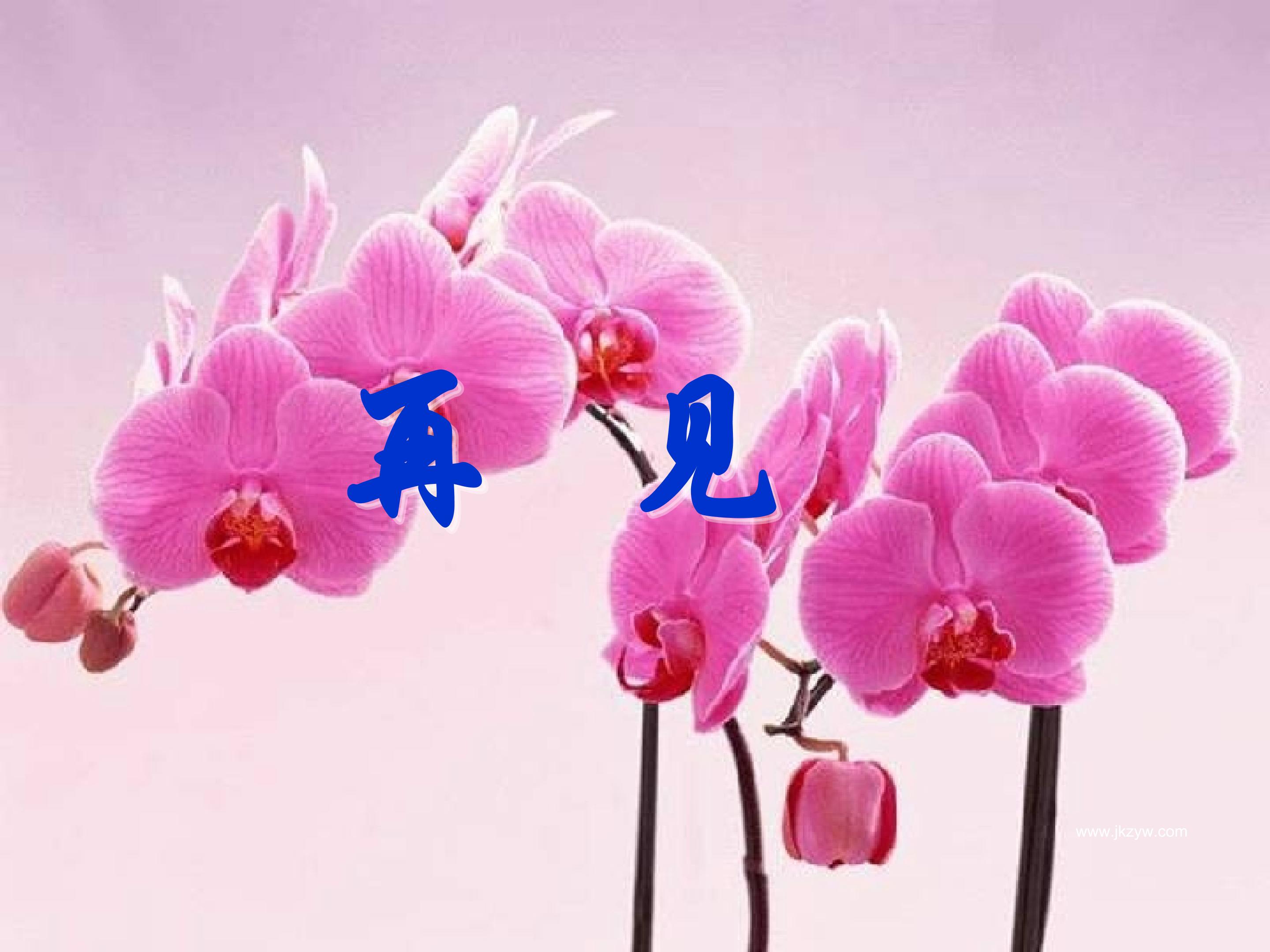 55.jpg
