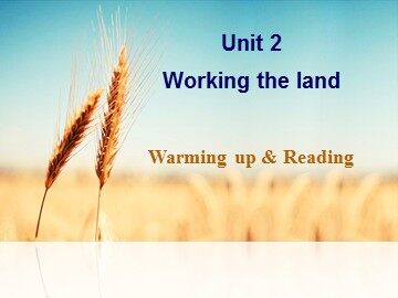Module 4 unit 2 reading.ppt