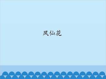 凤仙花_课件1