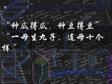 生物高中必修2第三章第一节课件6