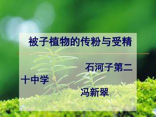 被子植物的传粉与受精