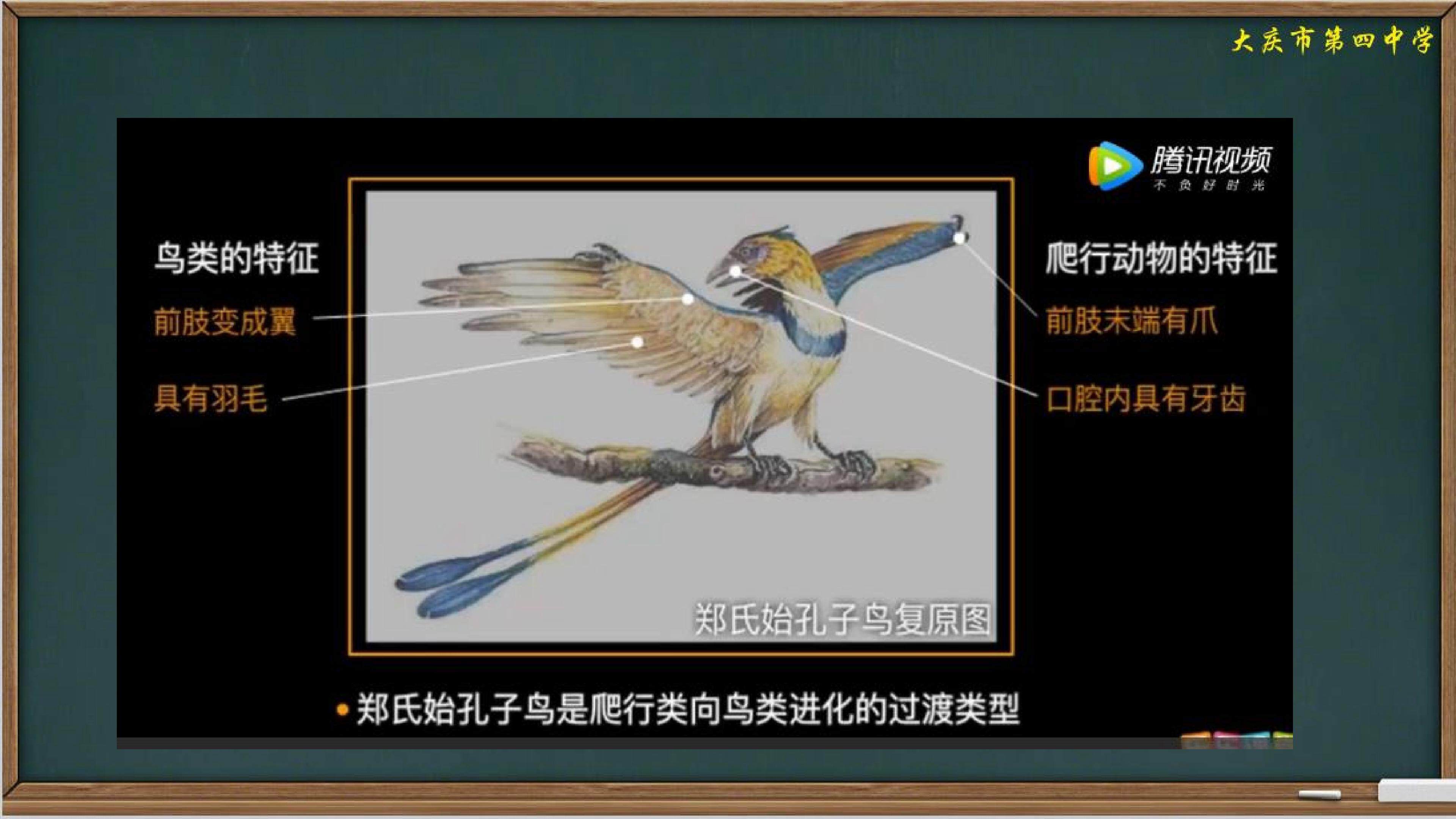 《现代生物进化理论章节复习与测试》课件