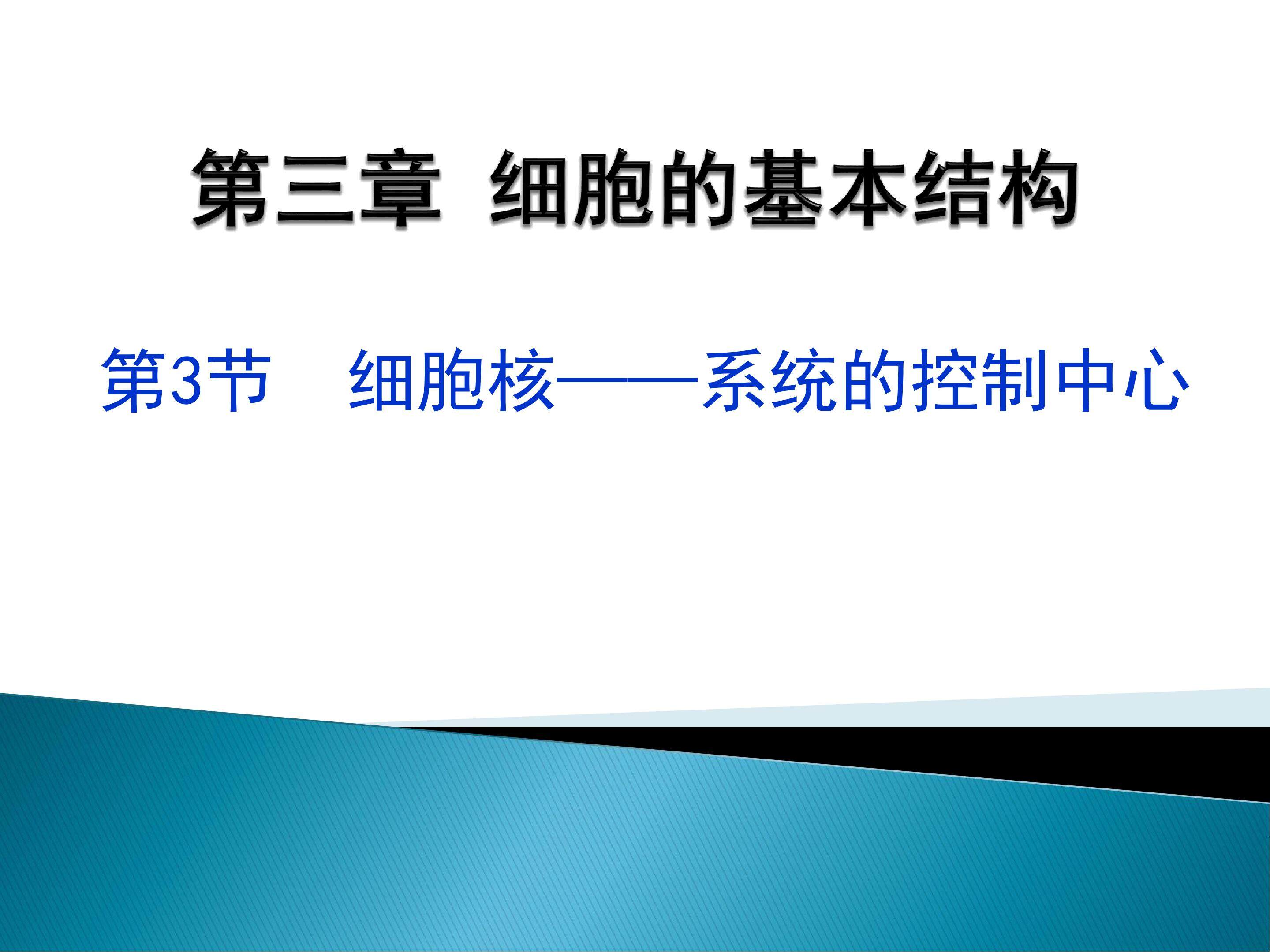 必修1 3.3细胞核-系统的控制中心