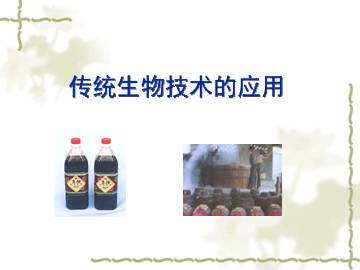 传统生物技术的应用_课件4