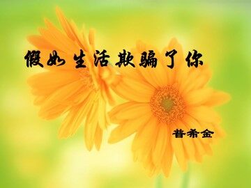 未选择的路_课件3