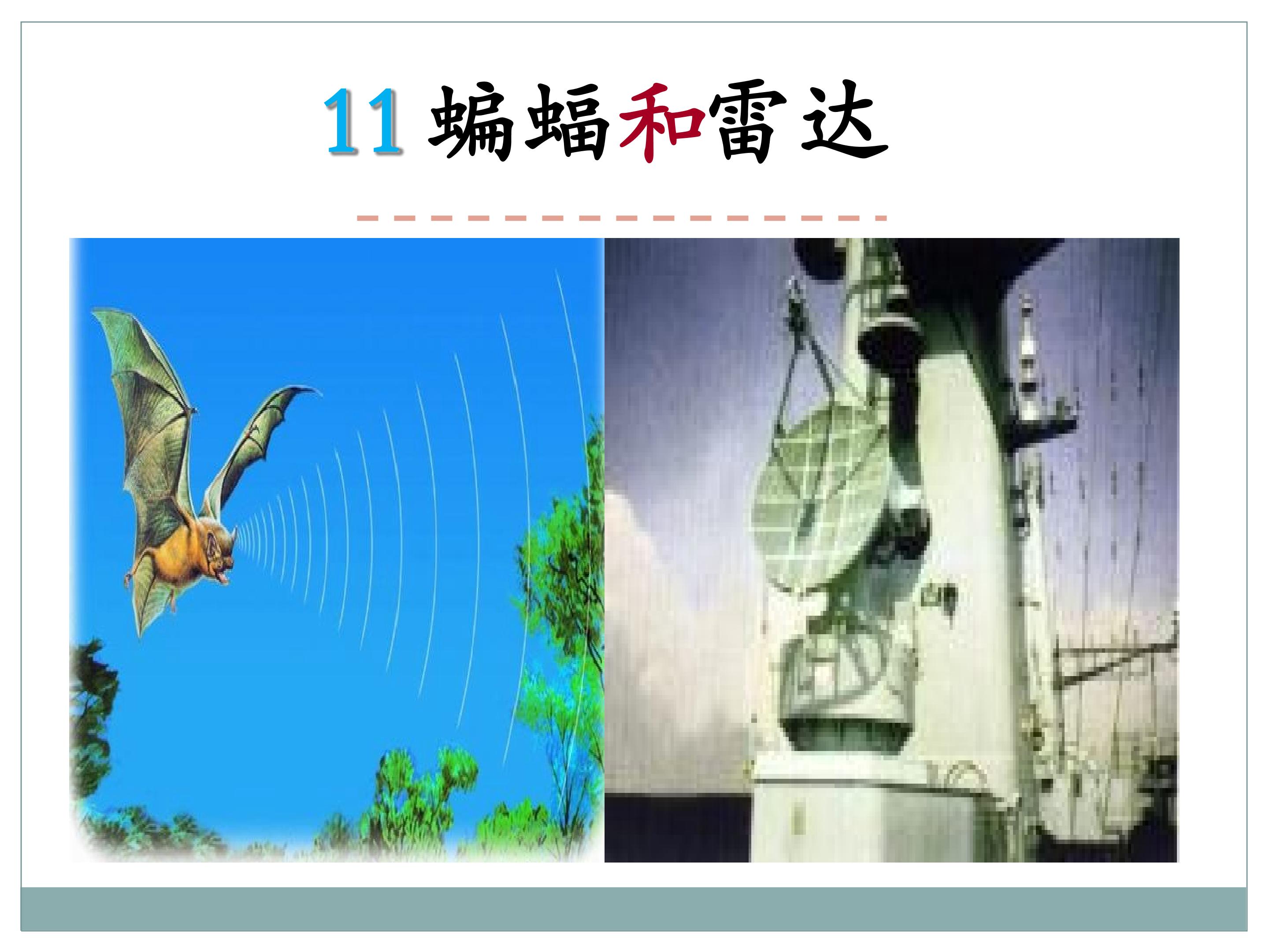 蝙蝠和雷达