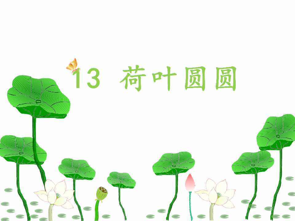 互动课件-荷叶圆圆