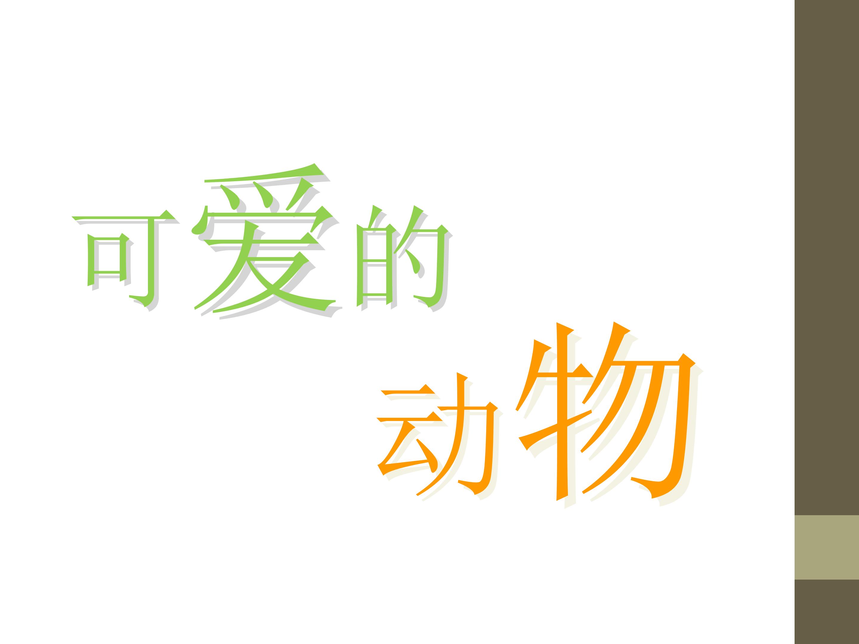 《可爱的动物》课件