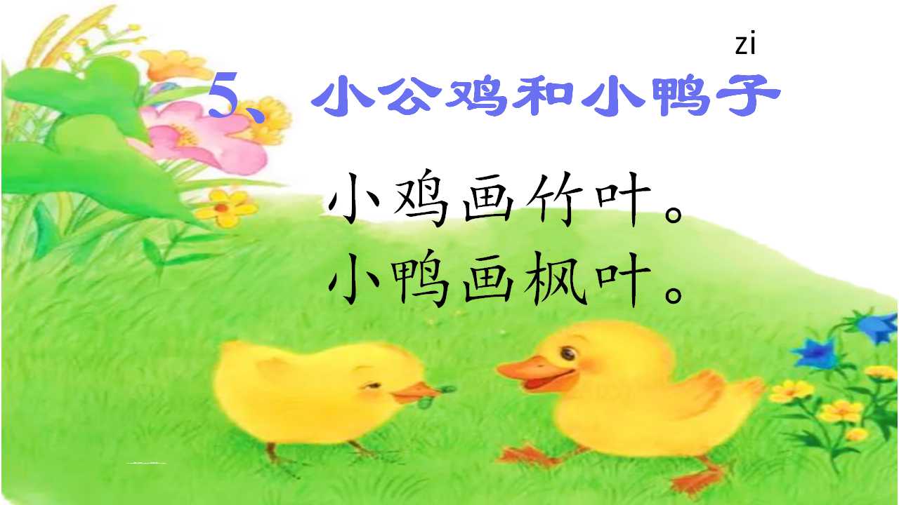 5 小公鸡和小鸭子