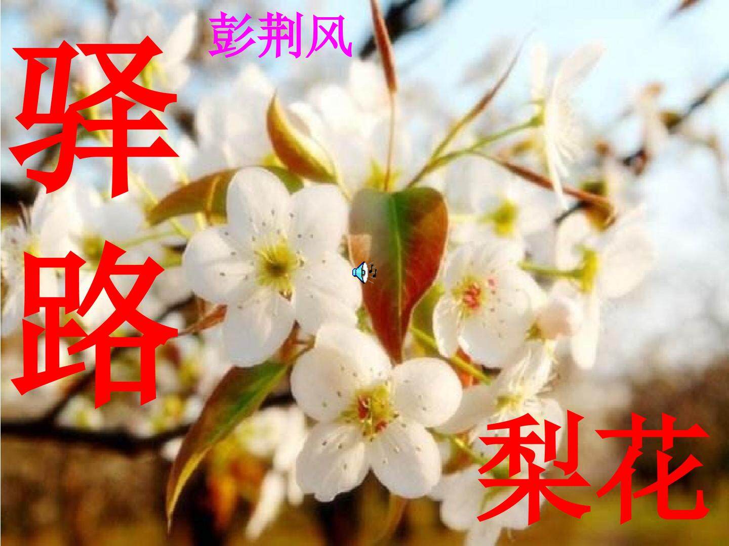 理解驿路梨花中梨花的多层含义及作用