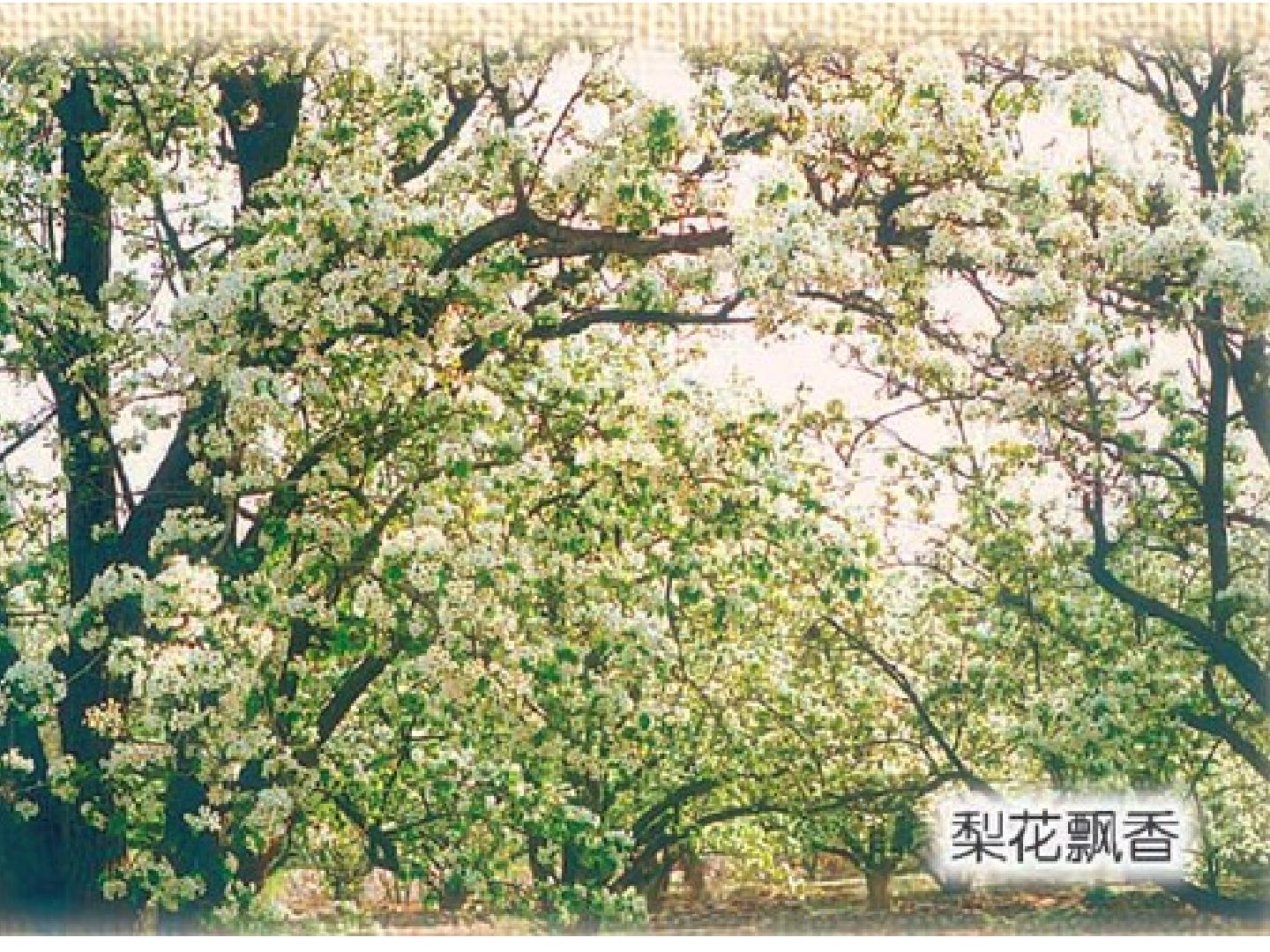 39.jpg