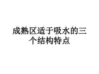成熟区适于吸水的三个结构特点