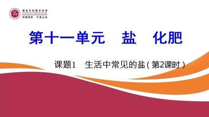 第十一单元 盐 化肥 第一节 生活中的常见的盐(第2课时)
