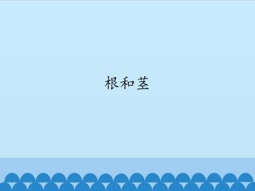 根和茎_课件1
