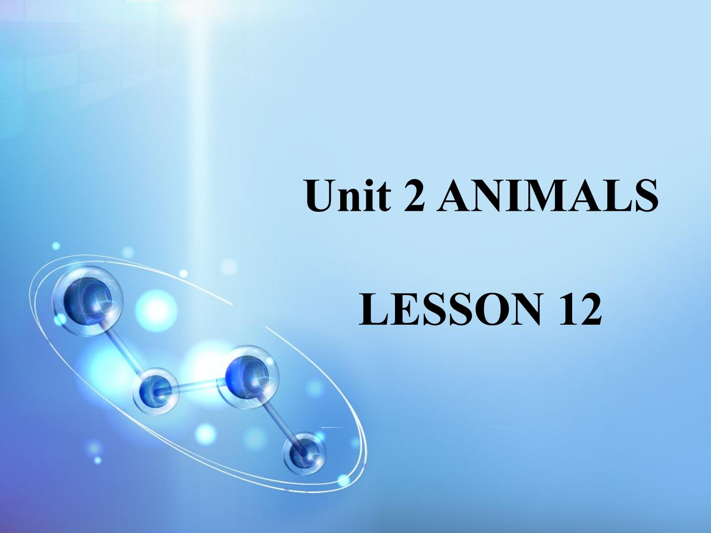 Unit 2 ANIMALS LESSON 12 课件