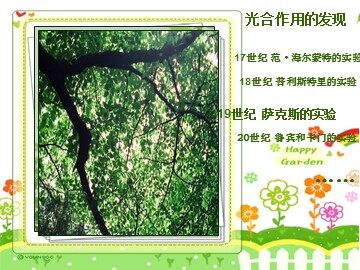 二  光合作用的原理和应用