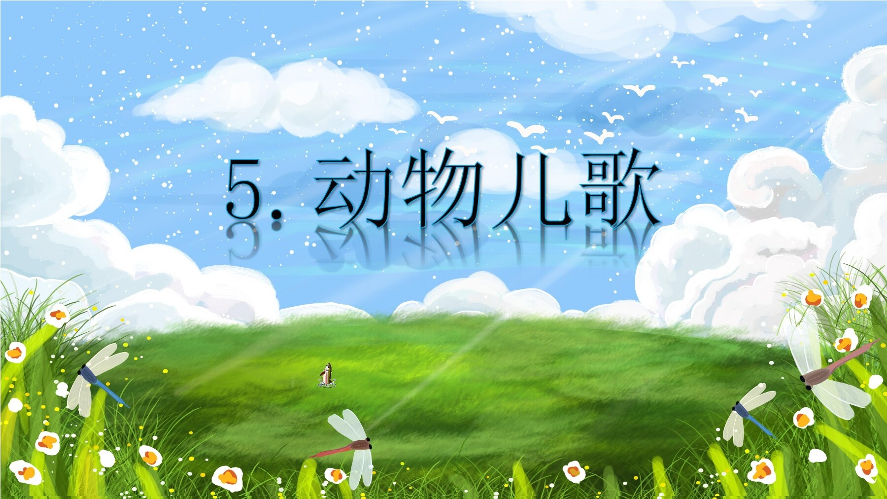 5