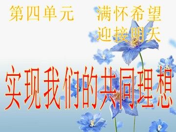 思想品德九年级全一册第四单元第九课第一框的教学课件