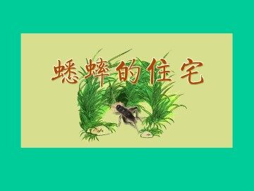 蟋蟀的住宅_课件1