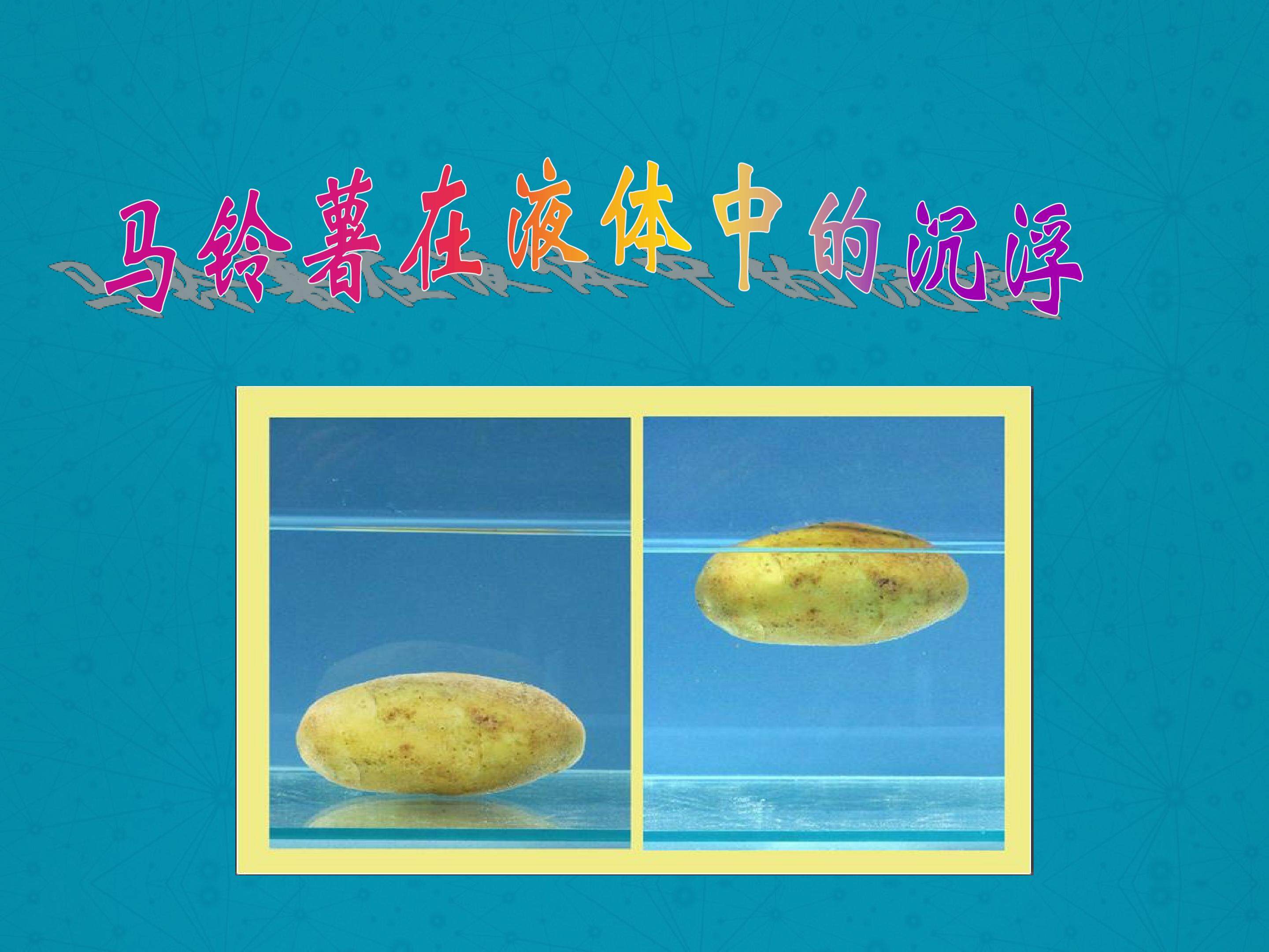 马铃薯在液体中的沉浮