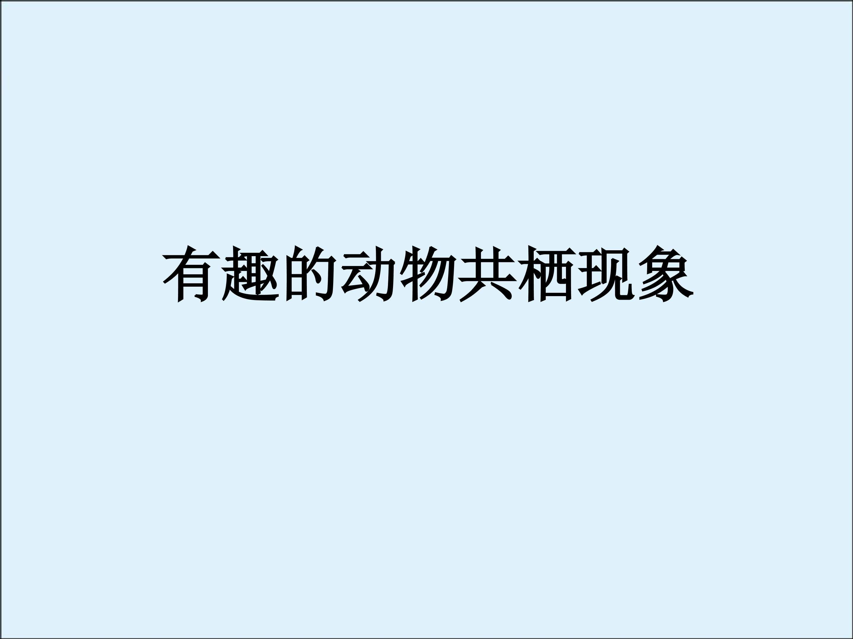 有趣的动物共栖现象_课件1