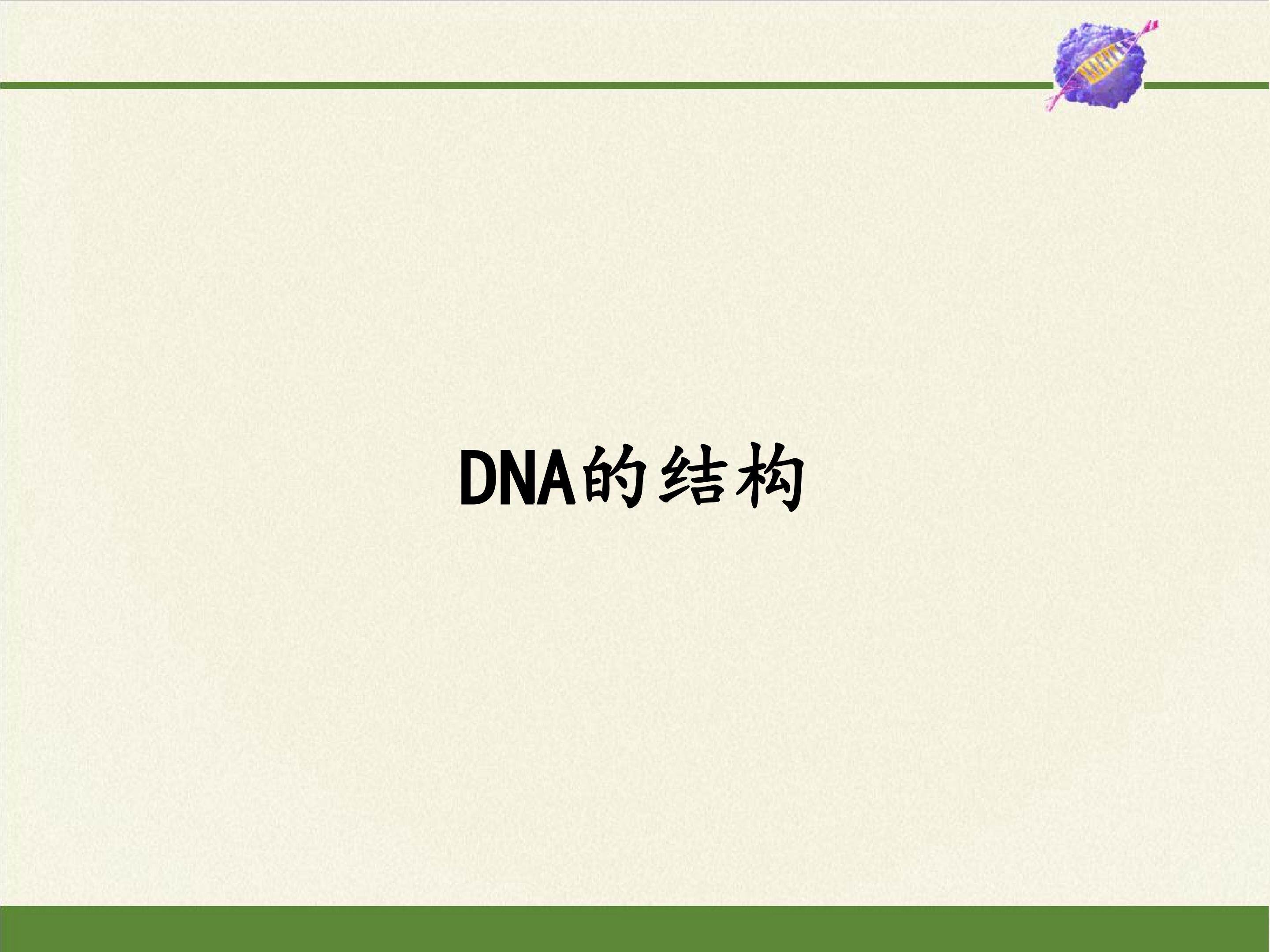 DNA的结构