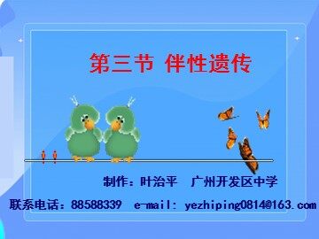 生物高中必修2第二章第三节课件4