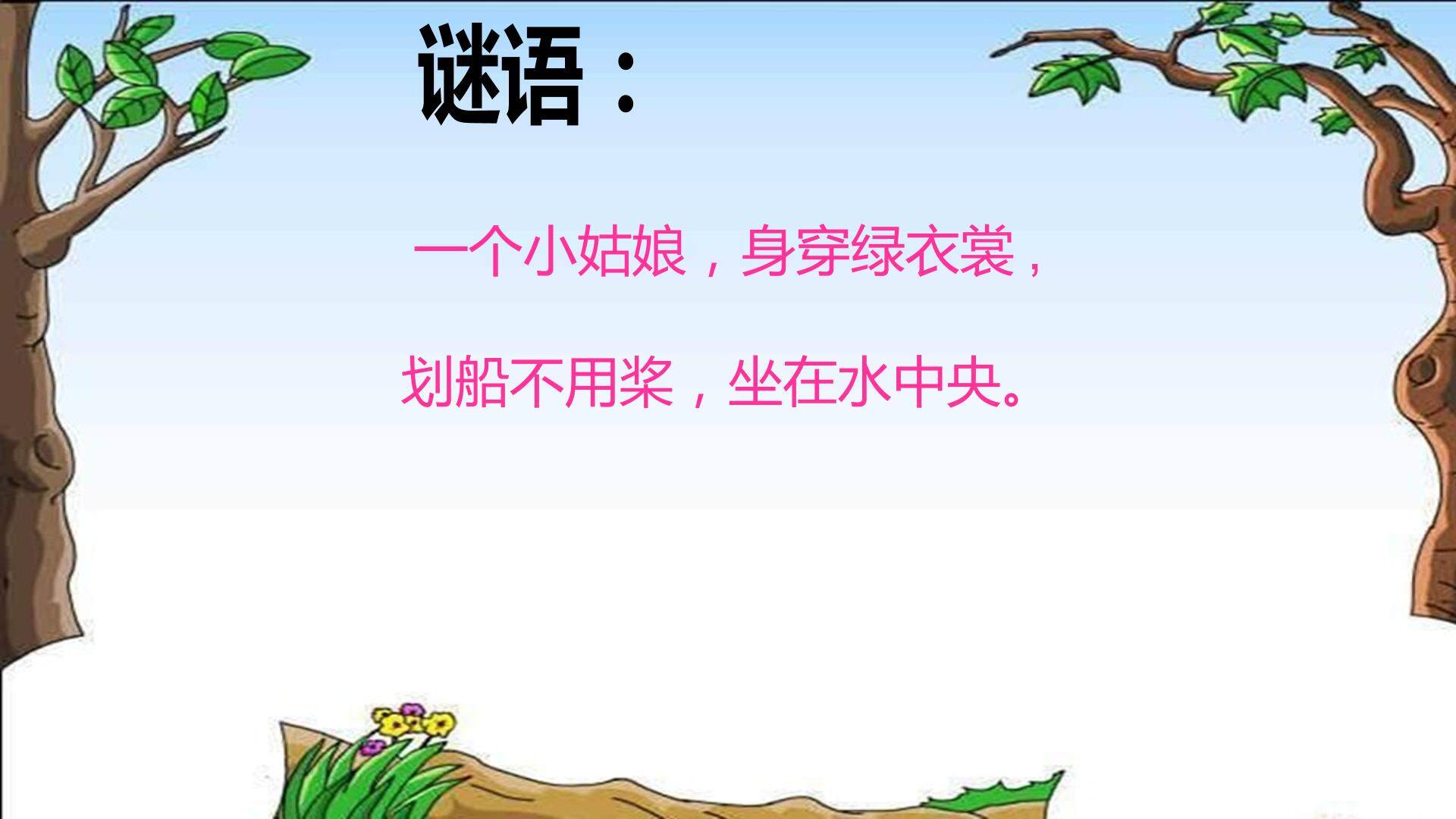 《荷叶圆圆》