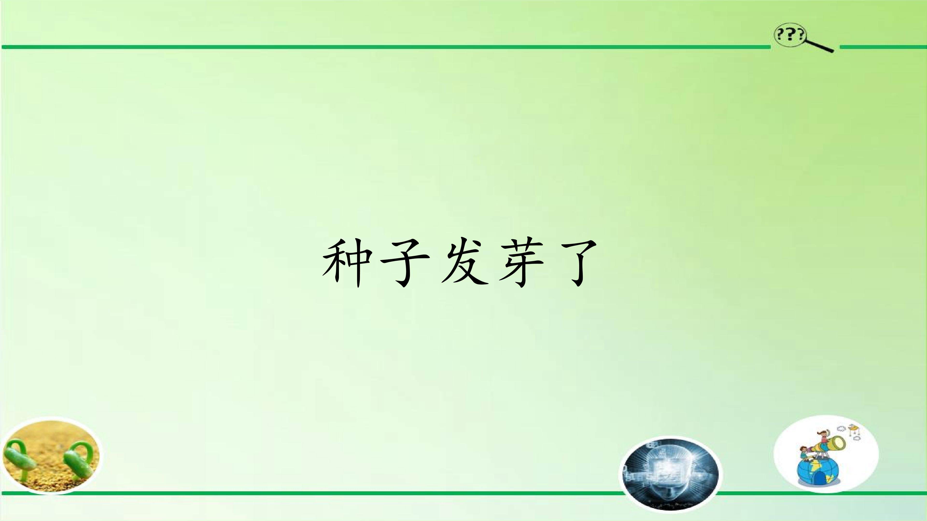 种子发芽了