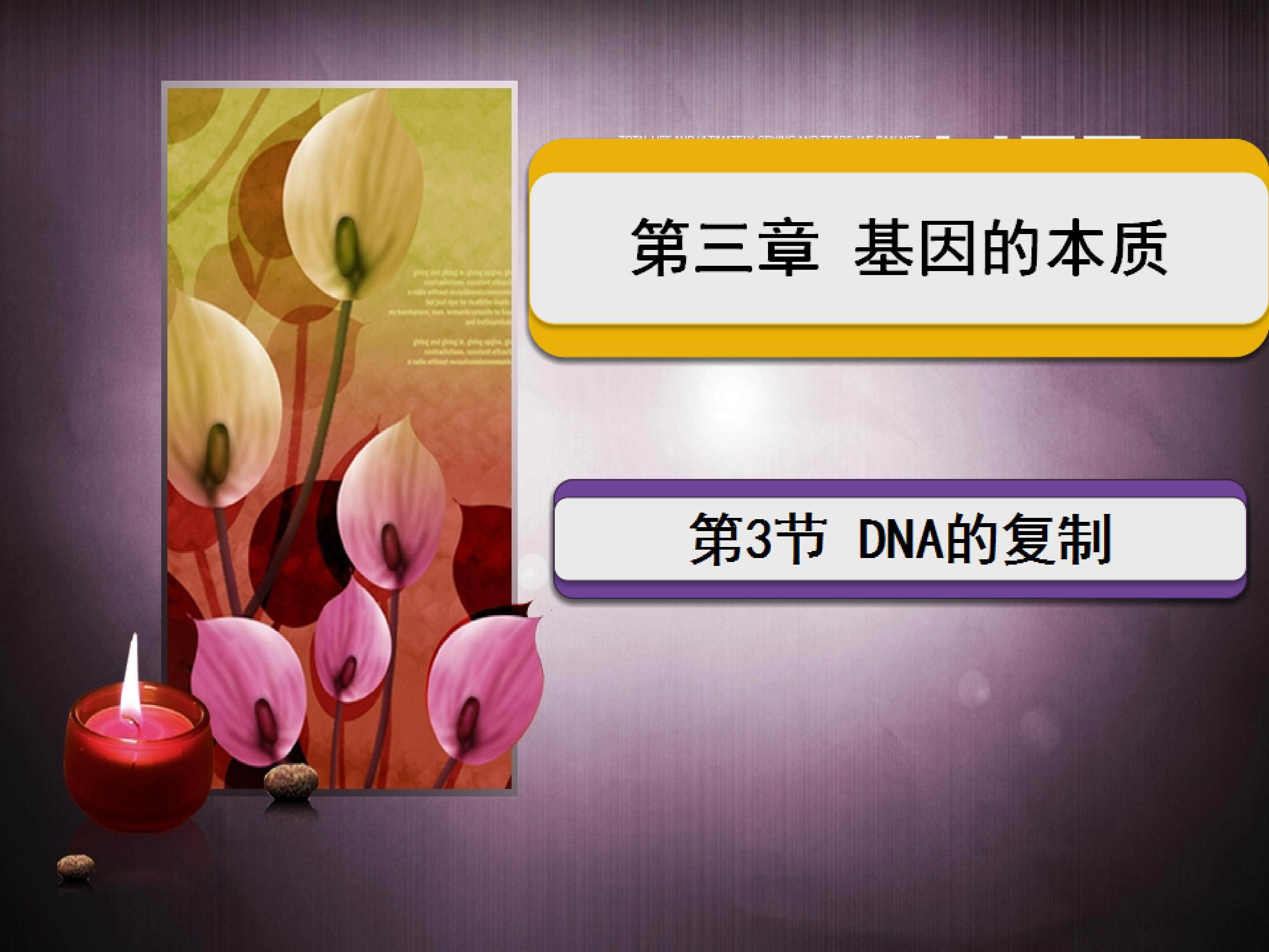 第三章第3节DNA的复制