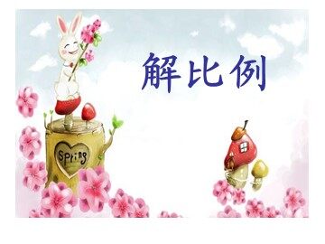 《解比例》课件2
