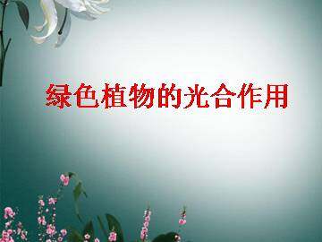 绿色植物的光合作用_课件1