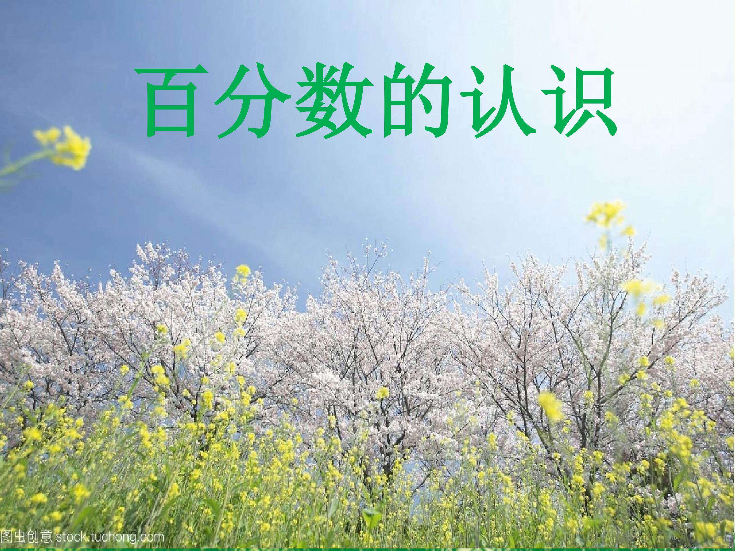 百分数的认识
