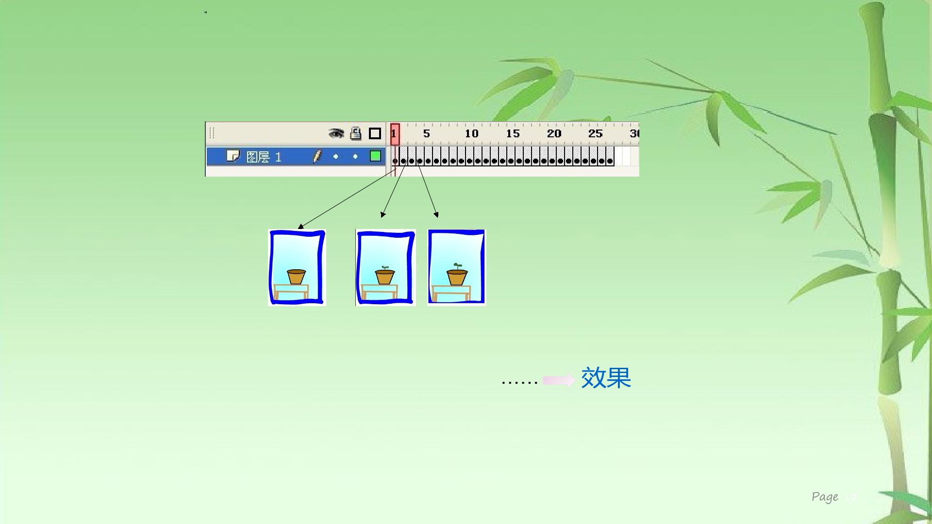 12.jpg