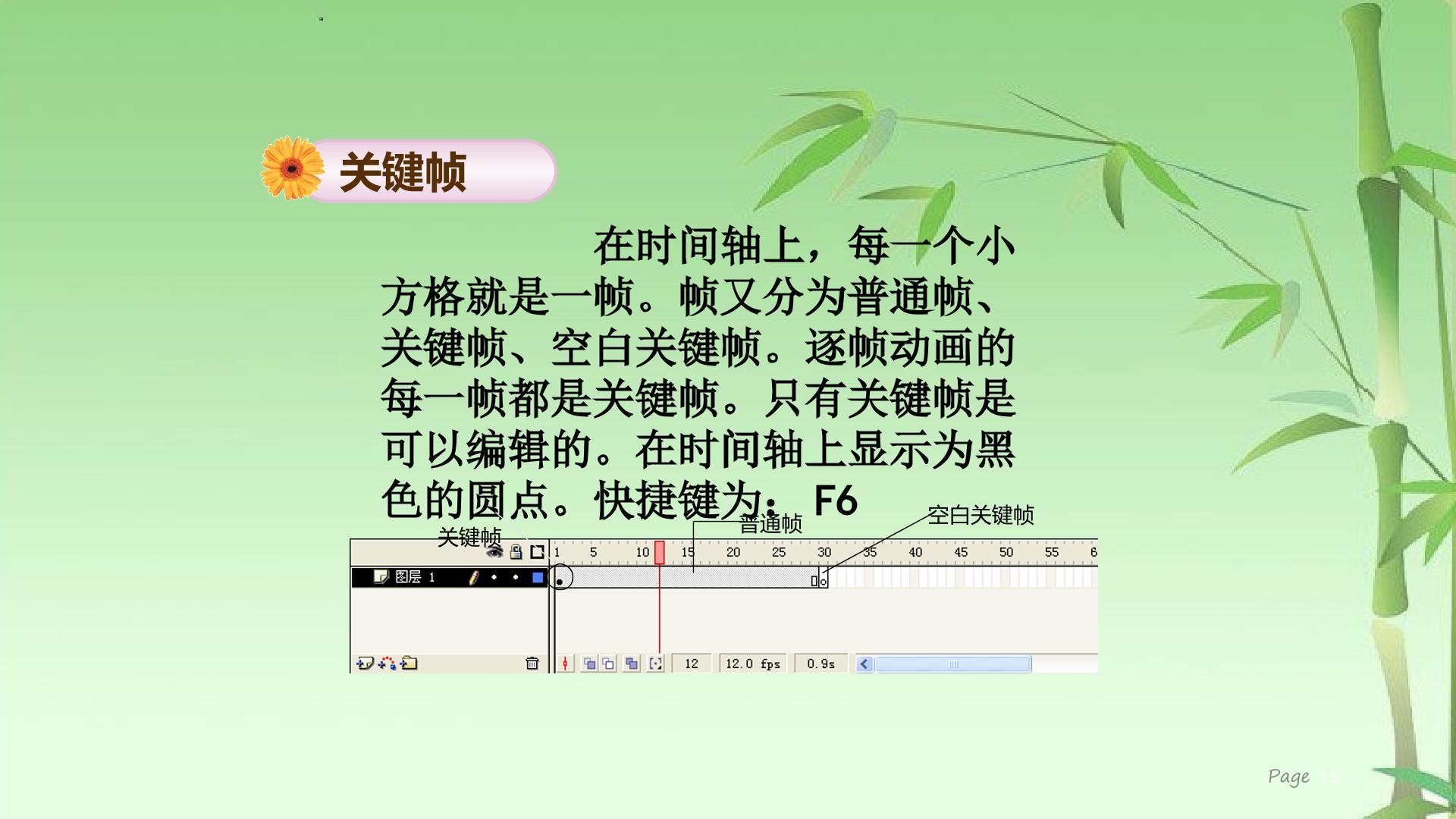 15.jpg