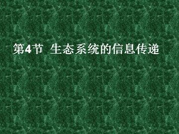 生物高中必修3第五章第四节课件1