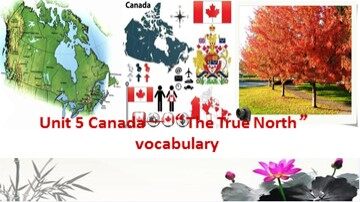 Words and expressions in each unit