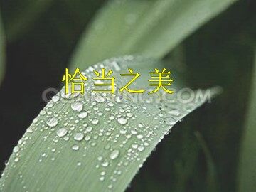 恰当之美_课件1