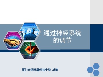 卫楷--通过神经的调节