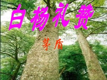 白杨礼赞_课件1