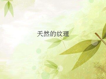 天然的纹理_课件1
