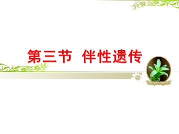 第3节  伴性遗传