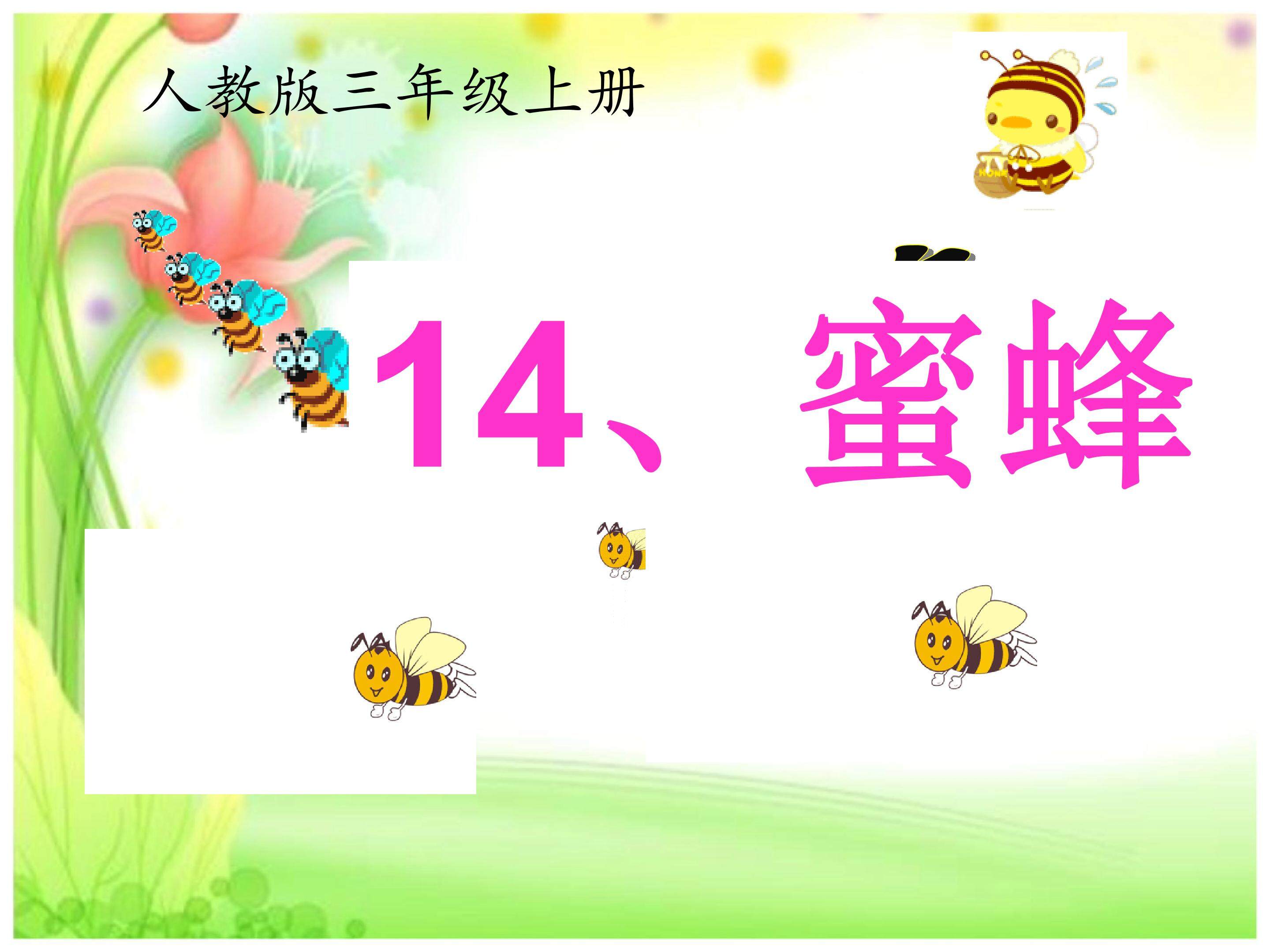 蜜蜂
