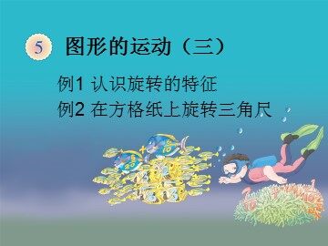 《图形的运动》课件1